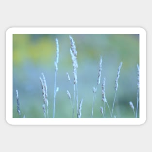 Grasses Sticker